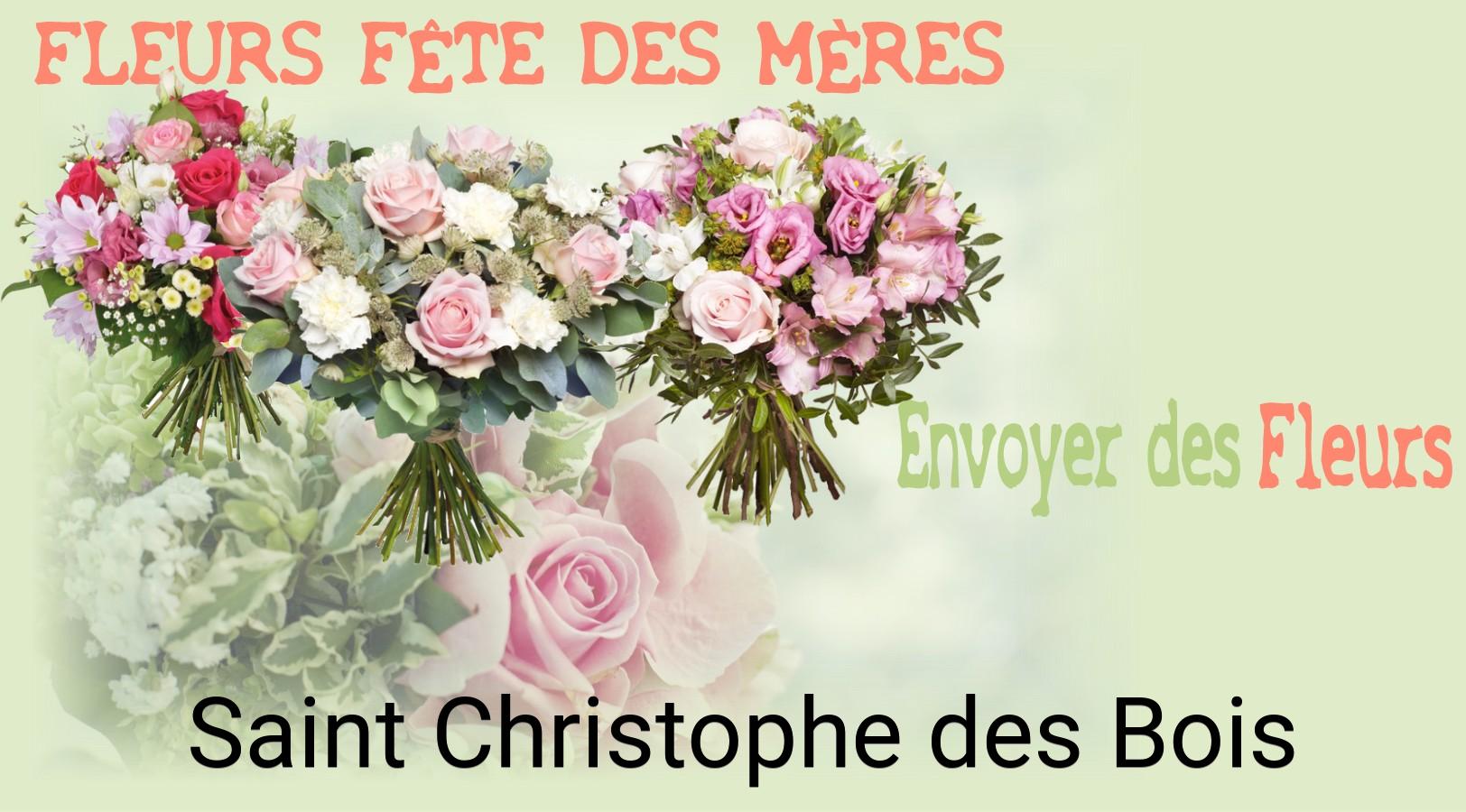 Bouquet de Fête des Mères livré à Saint-Christophe-des-Bois